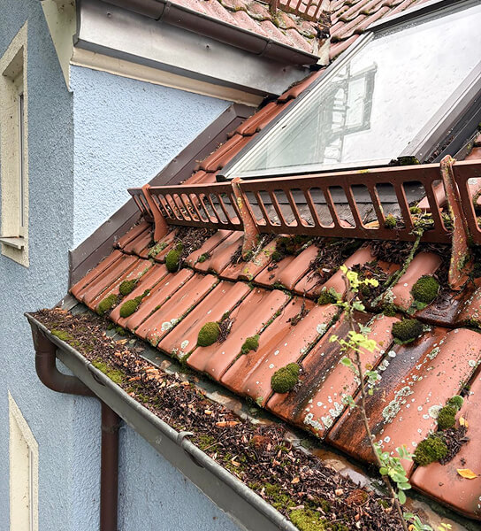 Dach Heilig's Blechle Dach und Rinnen